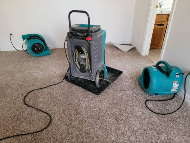 Best Commercial water damage restoration  in Pooler, GA