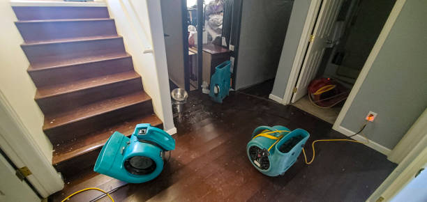 Best Professional water damage repair  in Pooler, GA