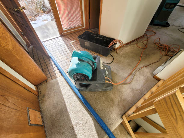 Reliable Pooler, GA Water damage restoration Solutions