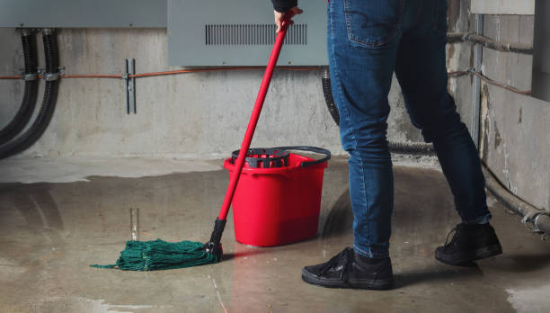 Best Mold removal after water damage  in Pooler, GA