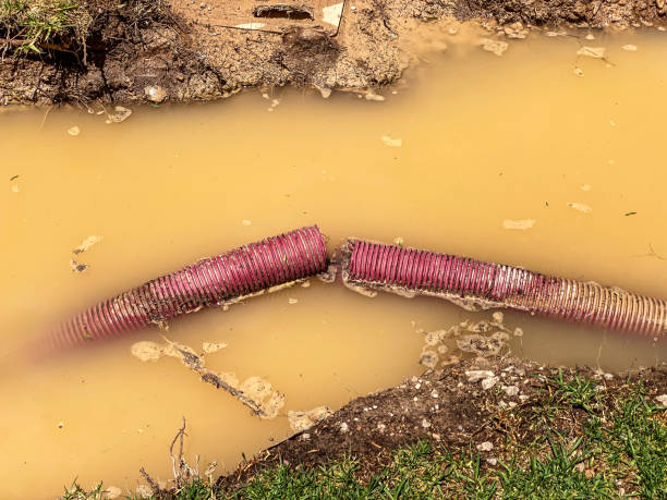 Best Flood restoration services  in Pooler, GA