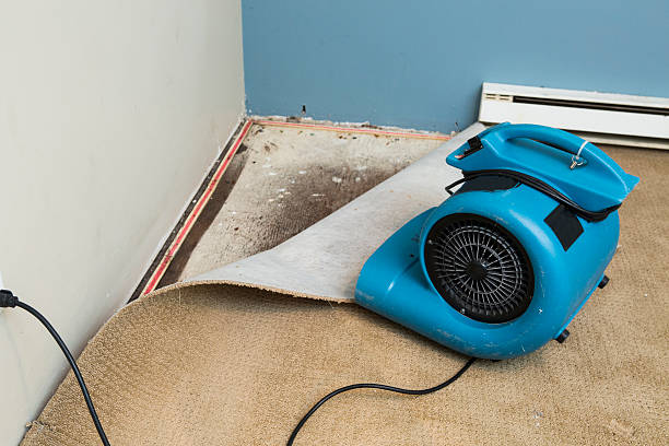 Best Carpet water damage restoration  in Pooler, GA